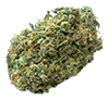 Acapulco Gold Trimmed Bud