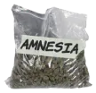 amnesia-lb