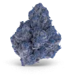 blue_dream_weed