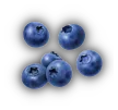 blueberry