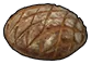 brood1