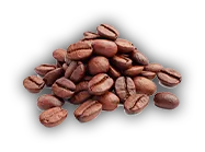 coffeebean