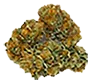 colombiangold_trimmed_bud