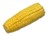 corn_on_cob
