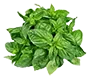 cubasil