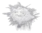 cutted_coke