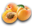 farming_apricot