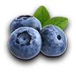 farming_blueberry