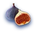 farming_fig