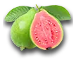 farming_guava