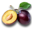 farming_plum