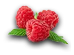 farming_rasberry