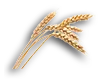 farming_wheat