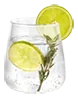 gin_and_tonic