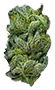 greengelato_trimmed_bud