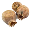 heroin_opium