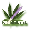 join_purplehazet2