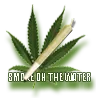 joint_amnesia2