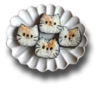 kittysushi