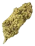lemonskunk_trimmed_bud
