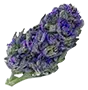 marijuana_bud1