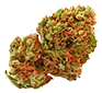 marijuana_bud4