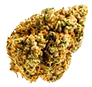 marijuana_bud6