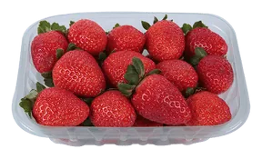 morangos