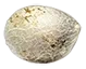 northernlights_seed
