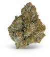 og_kush_weed