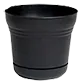plantpot