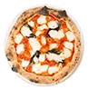 pnapollitano
