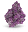 purple_haze_weed