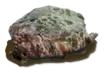 rotting_meat