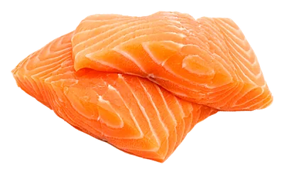 salmon