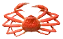 snowcrab