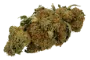 weed_bud