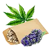 weed_seed1