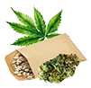 weed_seed2