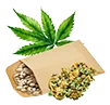 weed_seed3