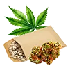 weed_seed4