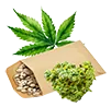 weed_seed5