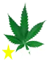 weedleaf-1
