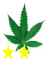 weedleaf-2