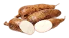 yucca_fruit