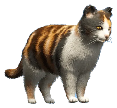 a_c_cat_02