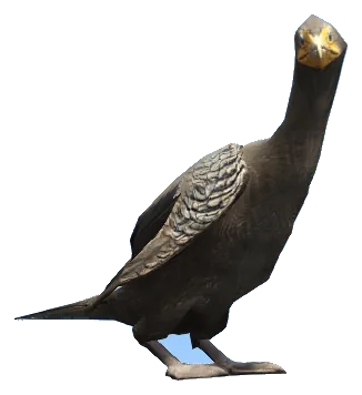 a_c_cormorant