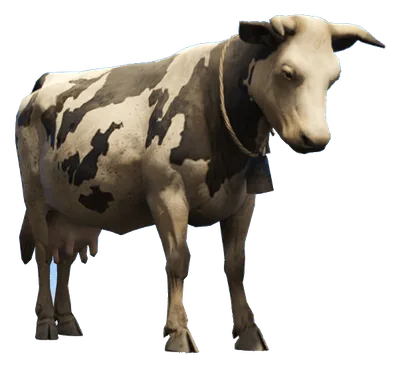 a_c_cow