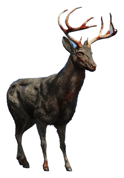 a_c_deer_02