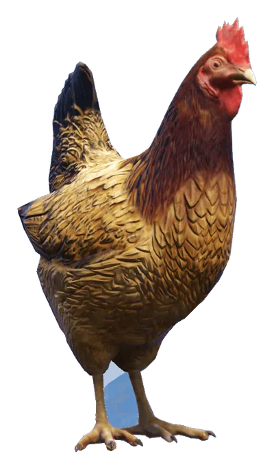 a_c_hen